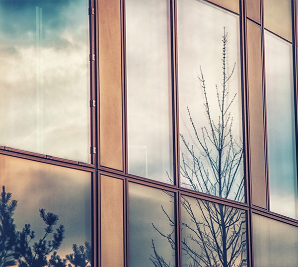 exterior window film phoenix