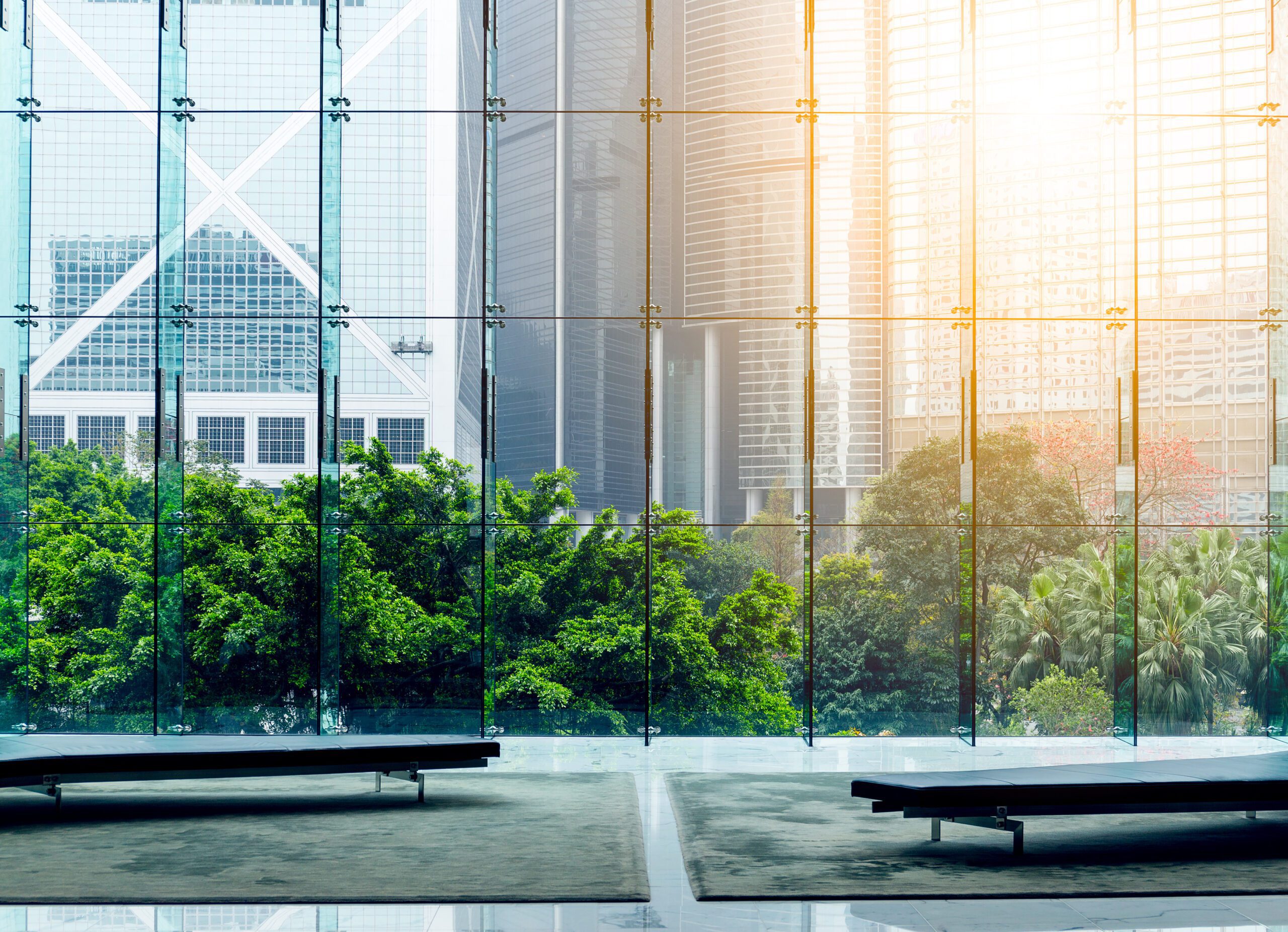 Anti Glare Window Film in Phoenix